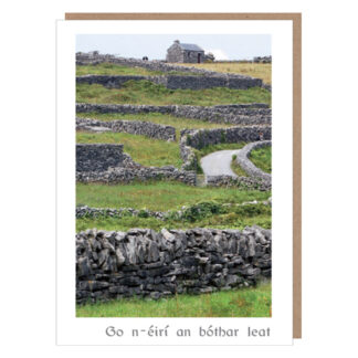 go n-eiri an bothar leat card ireland