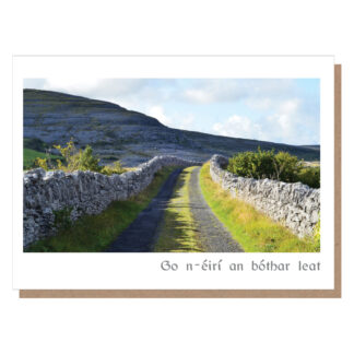 go n-eiri an bothar leat ireland