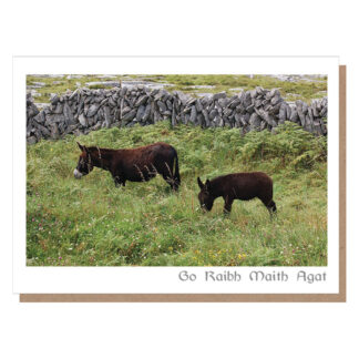 go raibh maith agat card aran islands