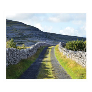 the green road in county clare, ireland by catherine dunne