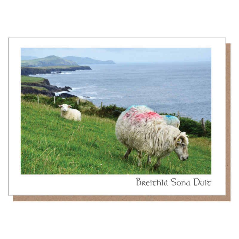 breithla sona duit card irish birthday dingle sheep card