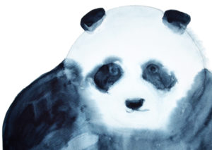 panda by catherine dunne, save the world collection