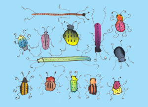 Insects by Catherine Dunne