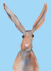 blue hare by catherine dunne