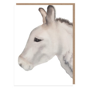 donkey card ireland
