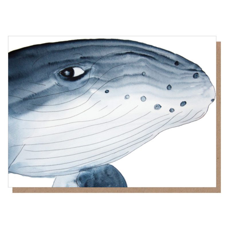 whale greeting card
