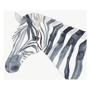 Zebra by Catherine Dunne