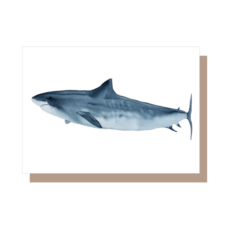 Shark art greeting card