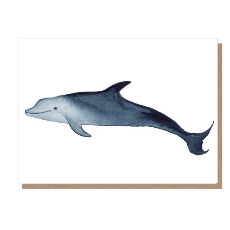 dolphin greeting card