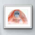 orangutan original painting by catherine dunne